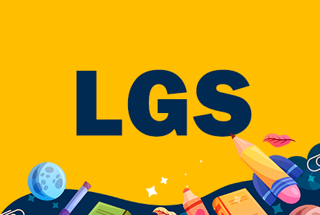 Lgs